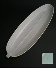 POOLE TWINTONE ICE GREEN AND SEAGULL CUCUMBER DISH LARGE SIZE