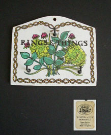 TAUNTON VALE RINGS AND THINGS MELAMINE  HOOK HOLDER IN HERB DESIGN